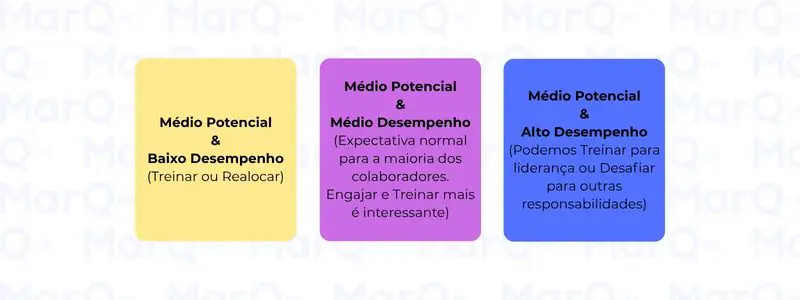 linha do meio matriz nine box 